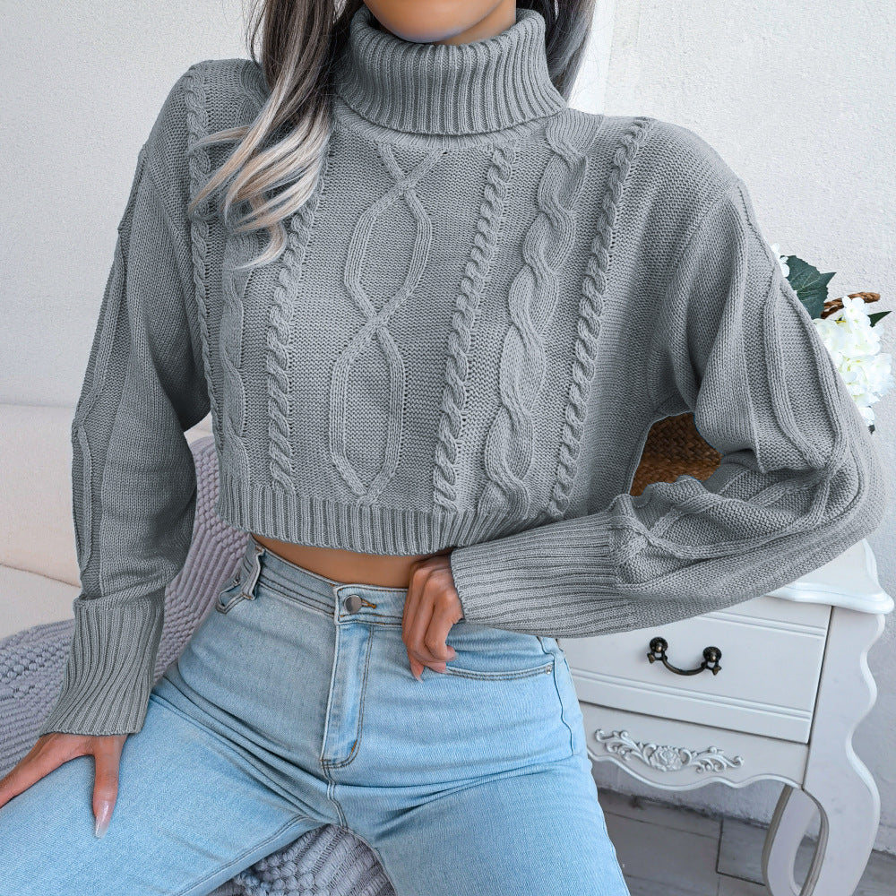 Turtleneck Cropped Pullover Sweater