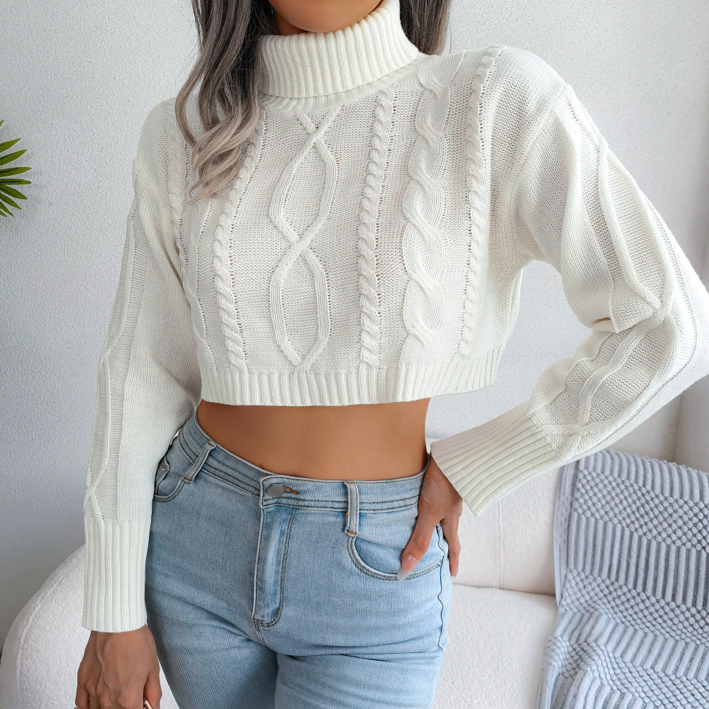 Turtleneck Cropped Pullover Sweater