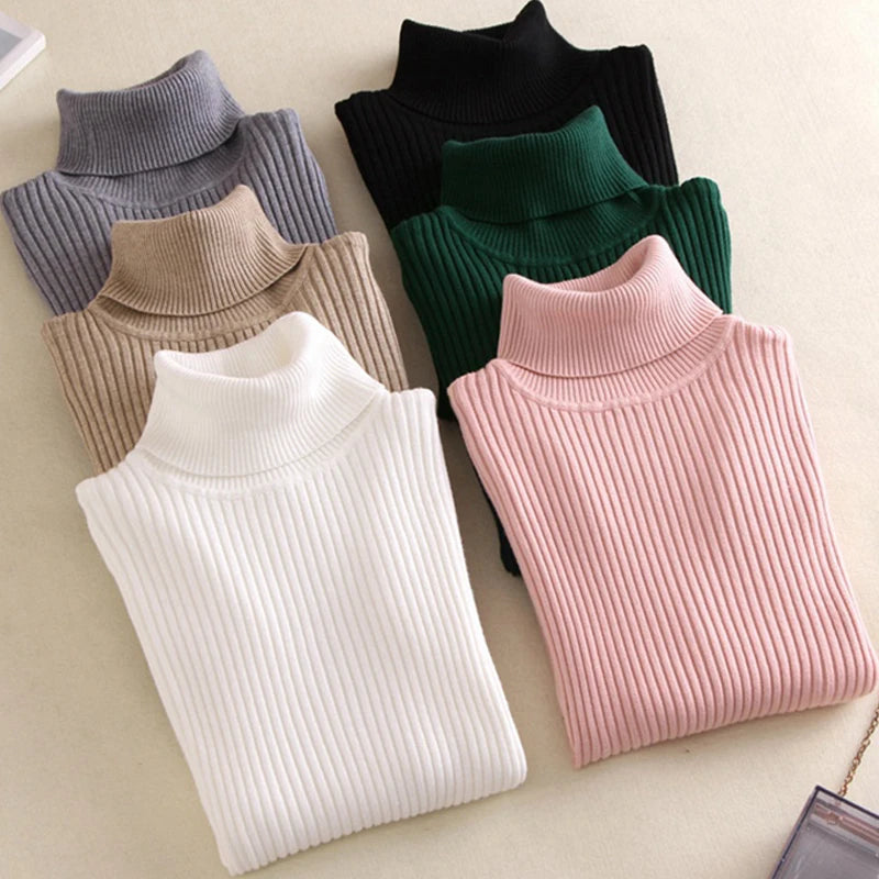 Turtleneck Pull Sweater