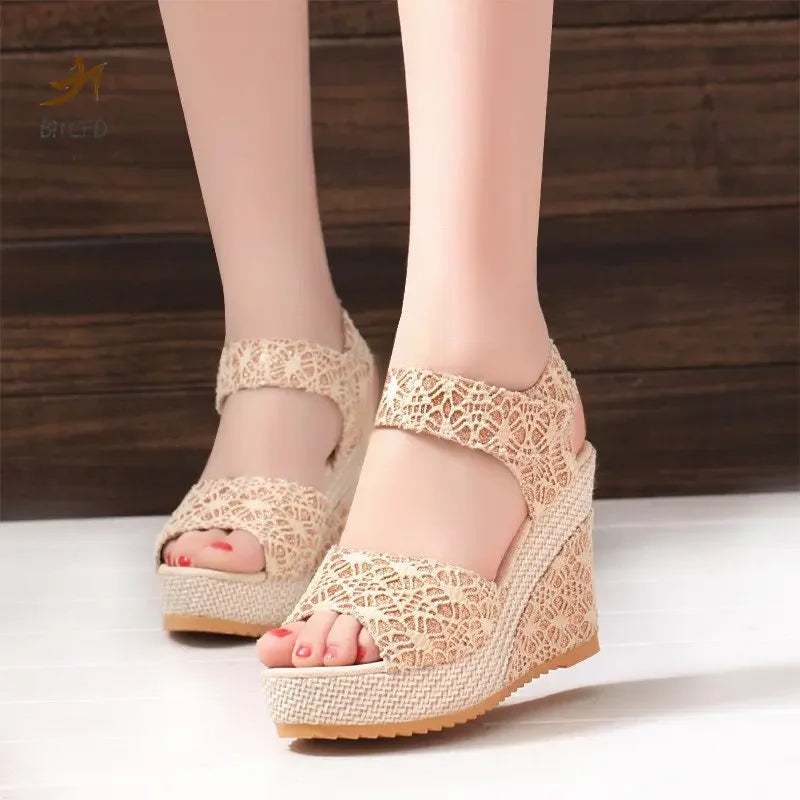 Mesh Platform