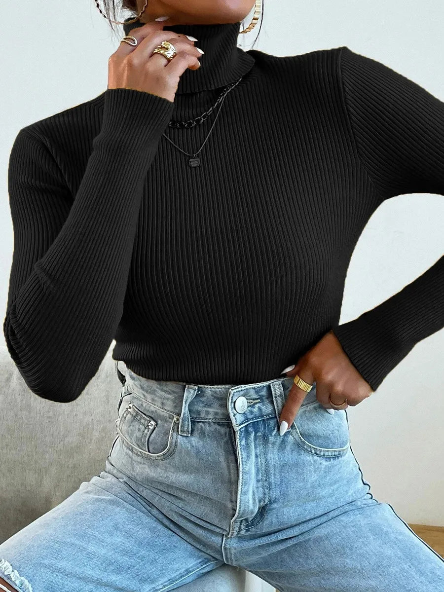 Turtleneck Pull Sweater