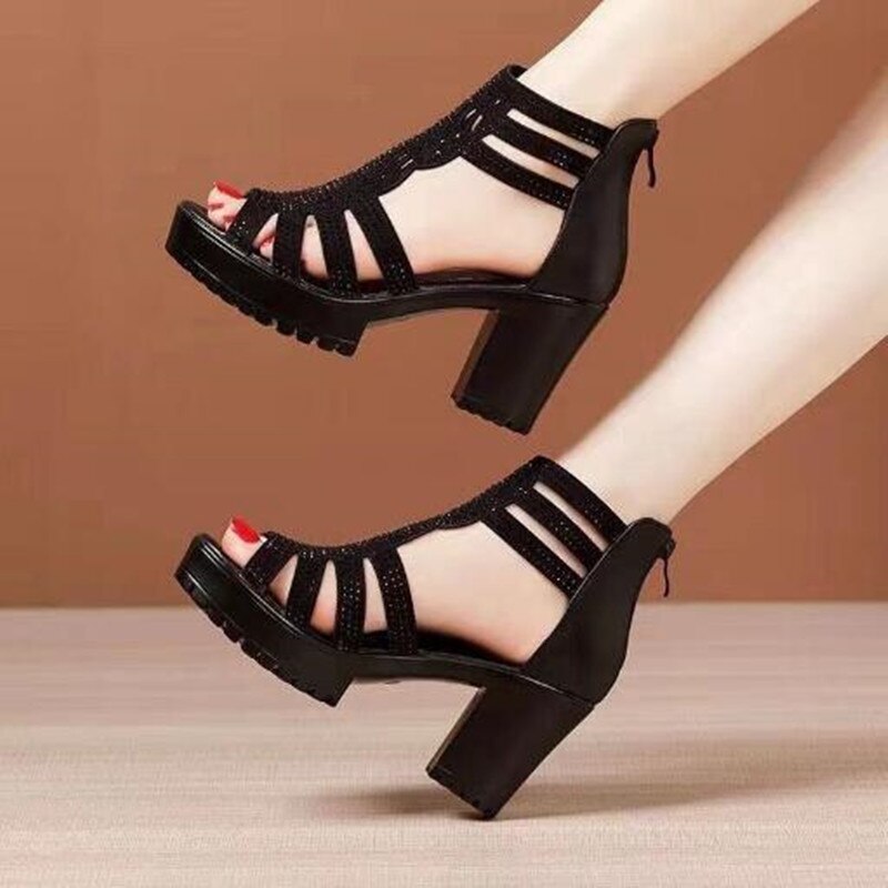 Gladiators