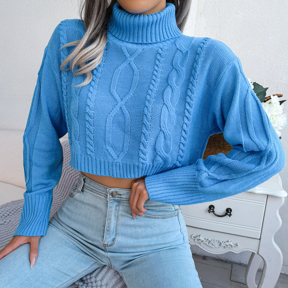 Turtleneck Cropped Pullover Sweater