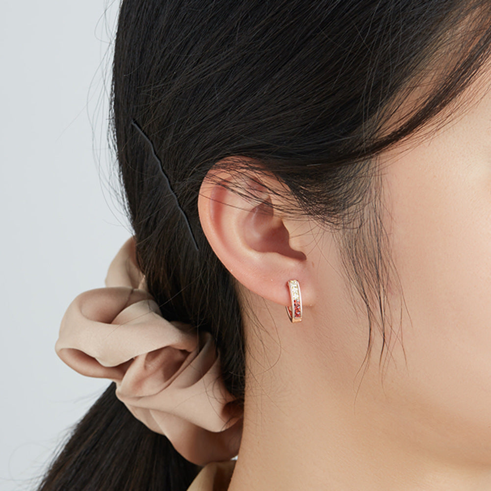 Buckle Style Earrings