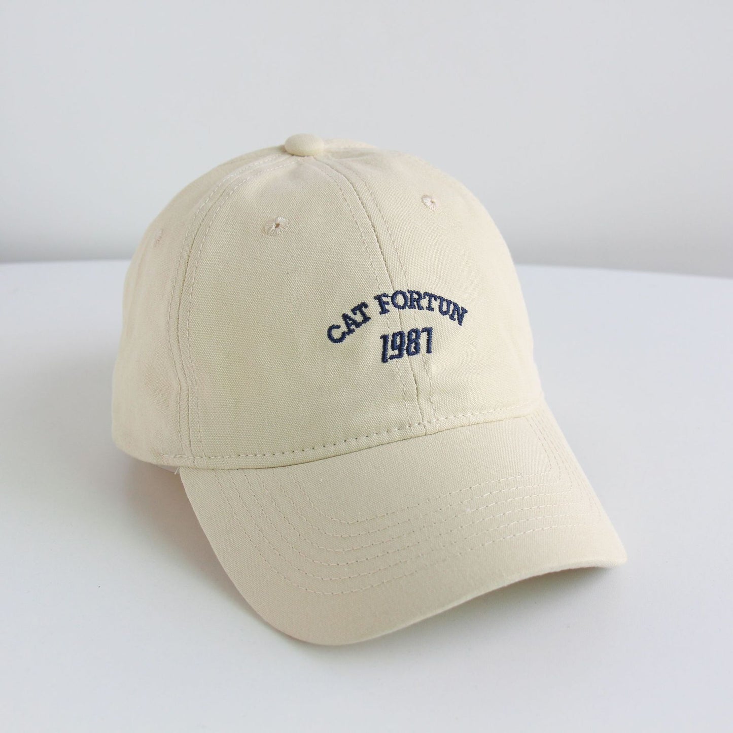 Washed Distressed Cap