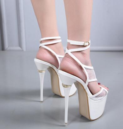 Waterproof Platform
