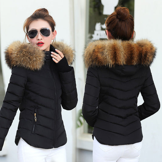 Sleek & Bold