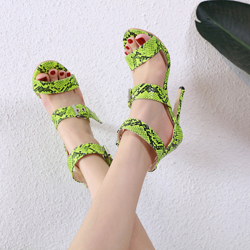 Snake Pattern