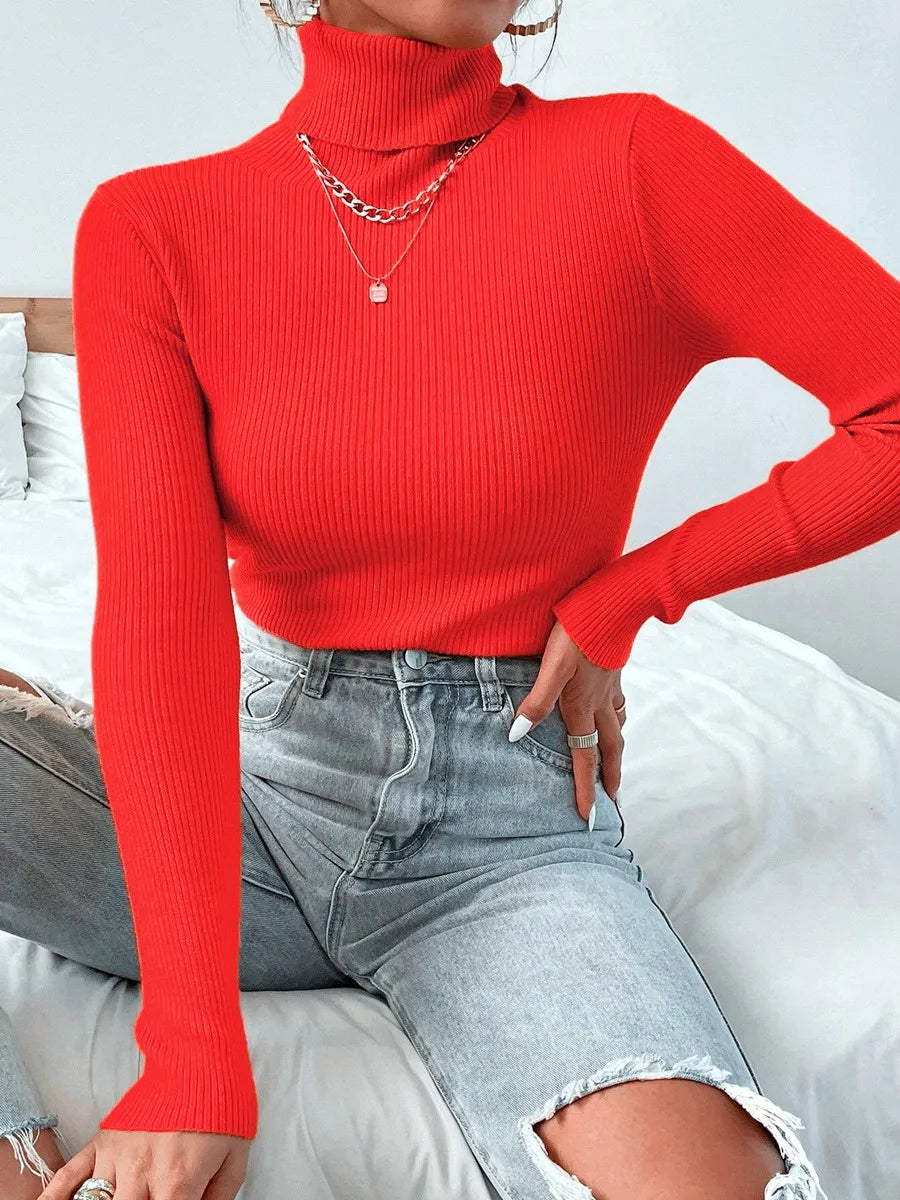 Turtleneck Pull Sweater