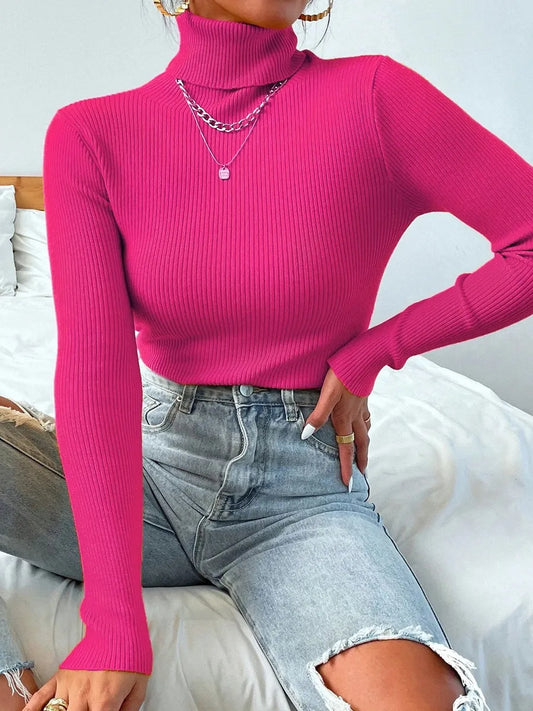 Turtleneck Pull Sweater