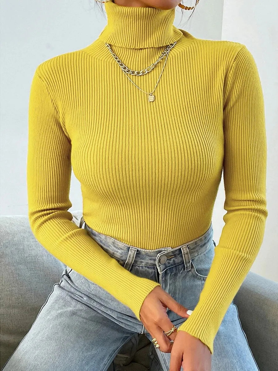 Turtleneck Pull Sweater