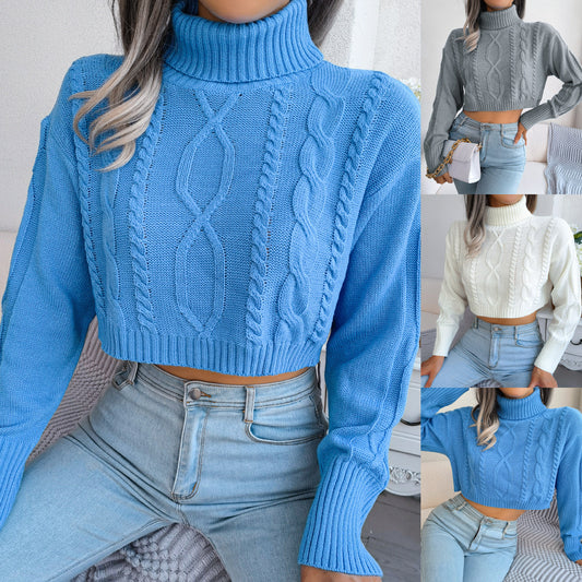 Turtleneck Cropped Pullover Sweater