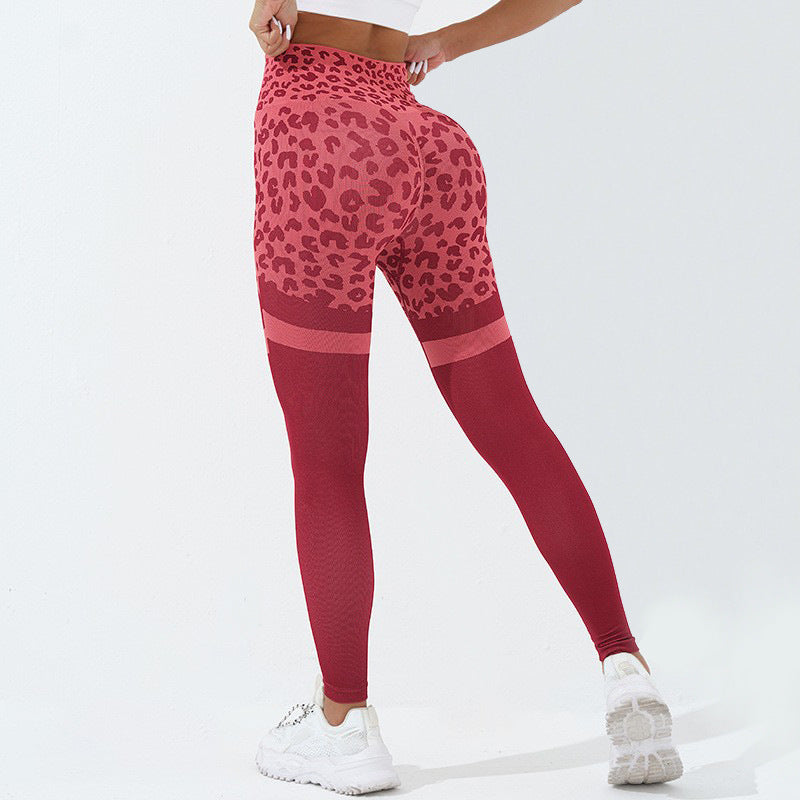 Leopard Print Fitness Pants