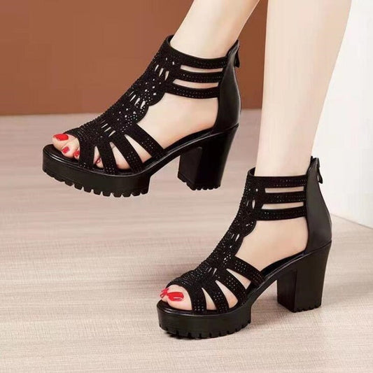 Gladiators